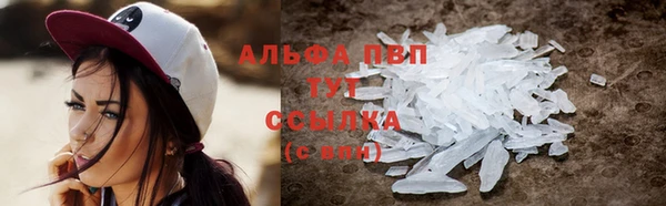 крисы Аркадак