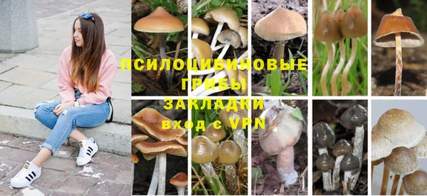 мяу мяу мука Армянск
