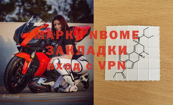 прущие грибы Арсеньев