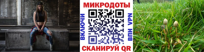 закладки  Порхов  Псилоцибиновые грибы ЛСД 